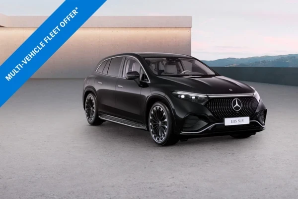 The EQS 450 4MATIC Business Class SUV with Metallic Paint*.